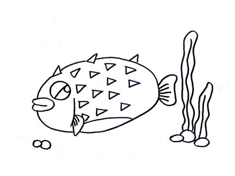一条鱼的自述_随笔作文800字(汇总5则)