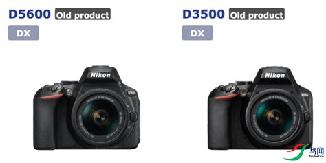 尼康d3500,2021年尼康相机推荐