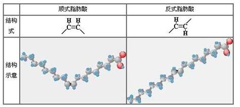 不含反式脂肪酸植物黄油