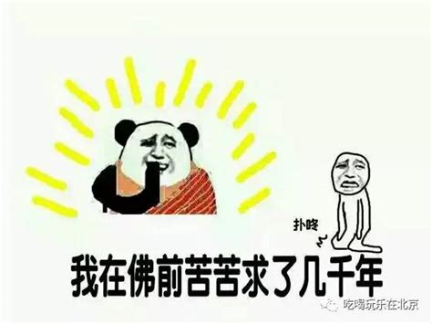 熊猫叫什么名字