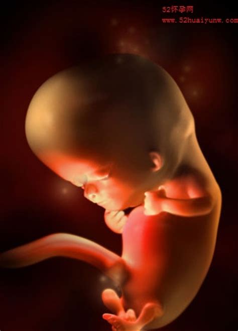胎儿发育大小和周数不符怎么回事
