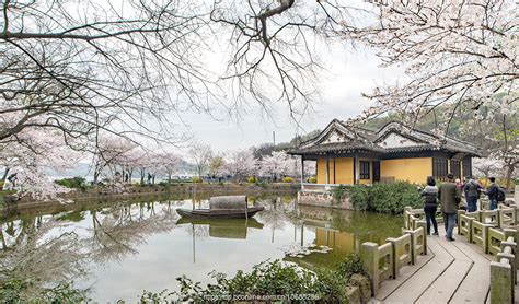 鼋头渚是个好地方-写景作文450字【合计4篇】