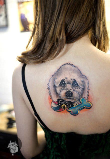 有纹身的狗狗,为了纪念去世的狗狗