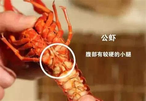 孕妇吃小龙虾的危害