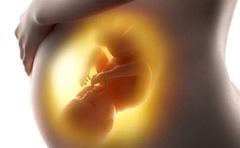 子宫息肉对怀孕有影响吗?