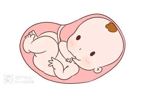 胎儿胎心170到180
