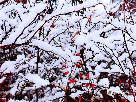 雨雪不见打一地名