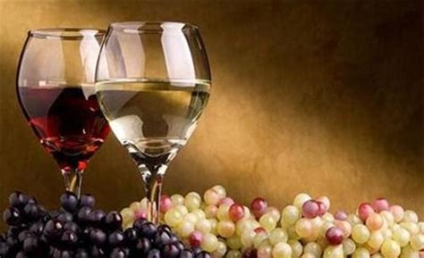 喝白葡萄酒有什么功效呢?
