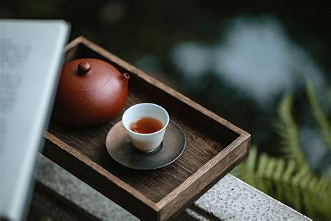 用泉水泡的茶 什么味,趵突泉水泡名茶