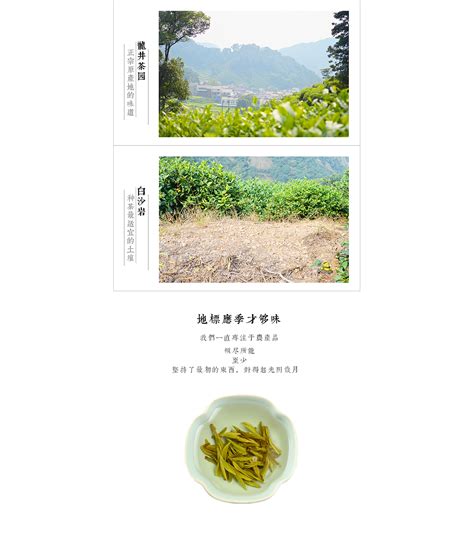 电影《龙井》的原作者古兰月,淘宝网页龙井茶背景图片怎么制作