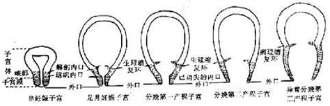 节后孕妇你有没有乱了节奏，伤了身体