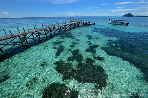 斐济旅游基础问答
