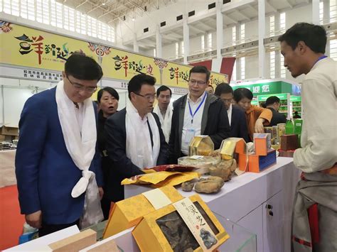 中国松茸在日本卖到1公斤670元 松茸中国卖多少