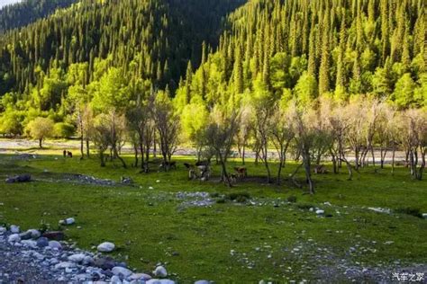 新疆唯一敢叫板喀纳斯的地方，美如隔世之地，低调隐秘