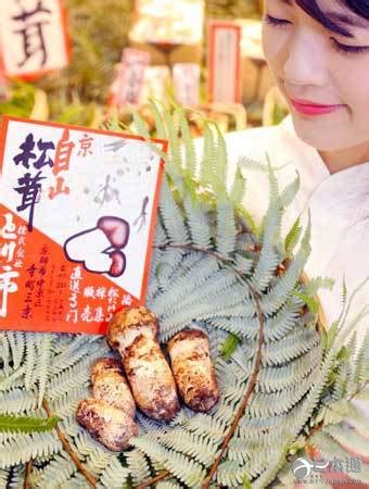 舌尖上的中国采摘松茸 这就是昂贵的松茸