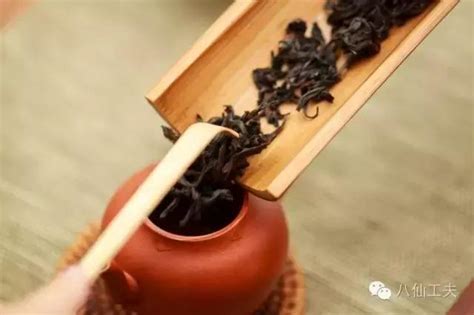 大赤甘是哪里的茶叶,乌龙茶的功效与作用