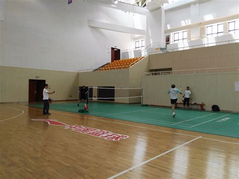 打羽毛球-小学生叙事作文350字(合集7篇)