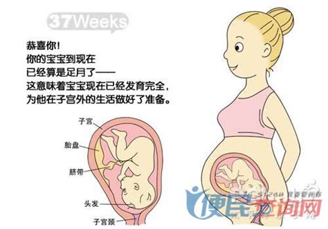 孕37周破水了医院会保胎吗