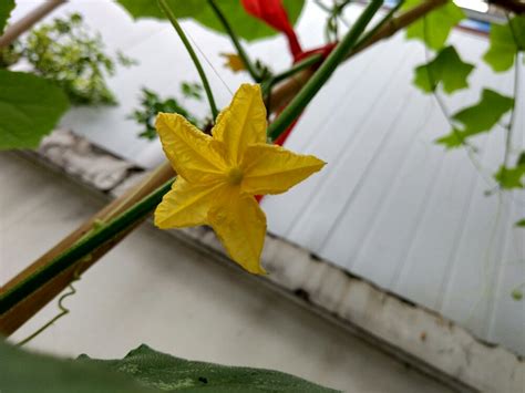 在哪里可以领到淘宝优惠券,购买电影票的APP