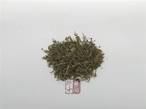 路边的婆婆丁是野菜中的极品,苦苦丁是什么