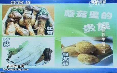 姬松茸猴头菇瘦肉汤功效 健脾胃食补方法