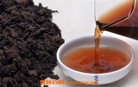 暖胃原理是什么,茯茶是什么功效