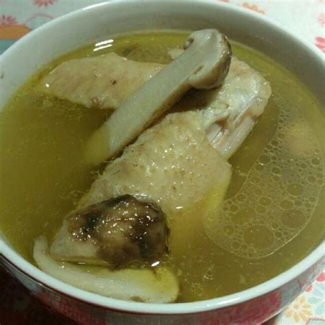 這道松茸燉雞湯一上桌 新鮮松茸雞肉湯
