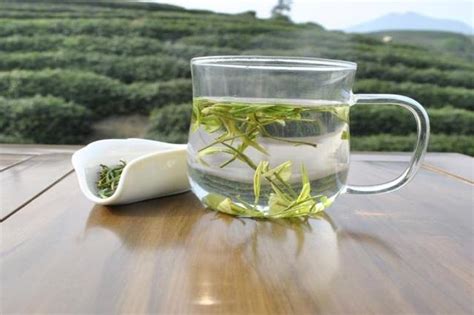 安吉白茶水温多少度最好,极品安吉白茶的冲泡方法