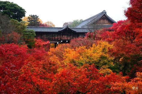 11月，去京都赏红叶