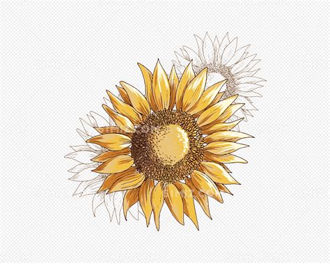 窗台上的小太阳_美丽的太阳花作文600字【共4则】