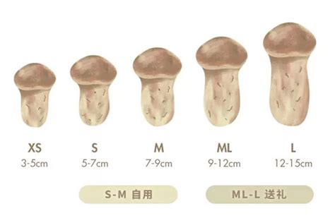 开伞松茸能吃刺身吗 新鲜松茸的清洗