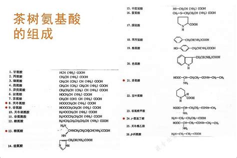 形容安吉白茶的口感和香味,安吉白茶的口感是什么样