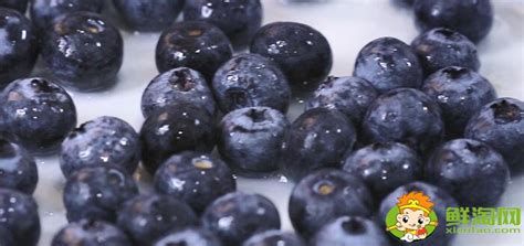 蓝莓怎么吃才好吃?