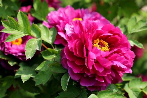 5分钟排便和30分钟排便