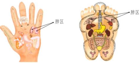 偏头疼刮痧刮哪个部位