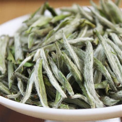 福鼎白茶的品种有哪些,怎么区分福鼎白茶的品质