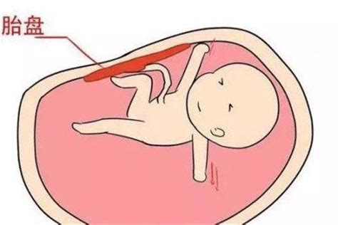   如何与胎宝宝互动