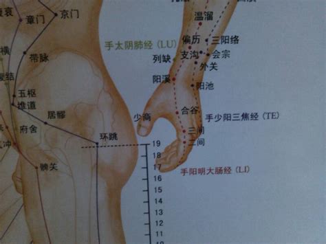 按一个穴位马上止牙痛带图