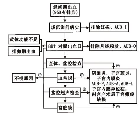 清宫手术对子宫的影响