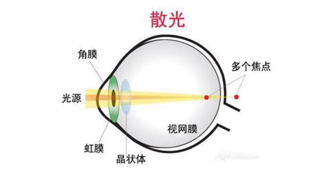 这是什么果实