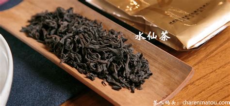 水仙是属于什么茶,茶叶水仙属于什么茶