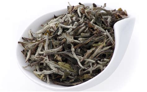 你认为什么样的茶才是真正的好茶,白茶的制作工艺是什么样的