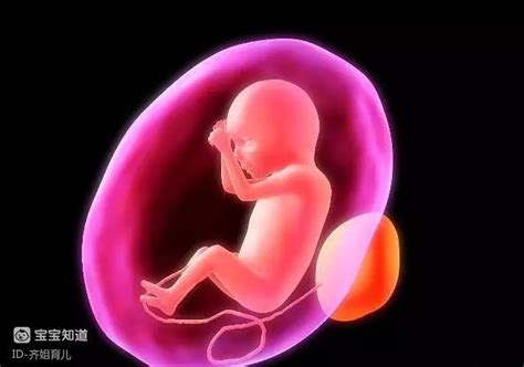 “胎儿偏小”怎么办