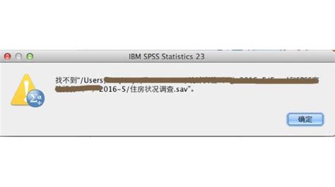 SAV格式的是什么内容的文件?