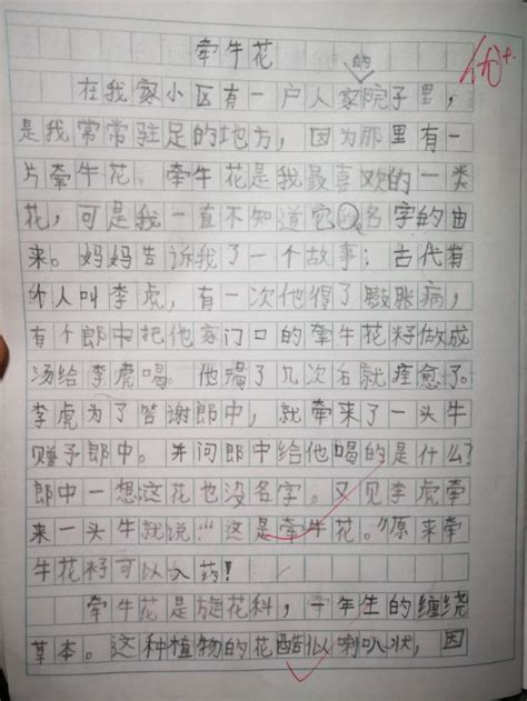 《雪山上的达娃》-读后感550字(合计9则)
