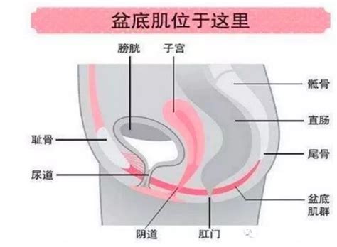 37周多没入盆会生吗