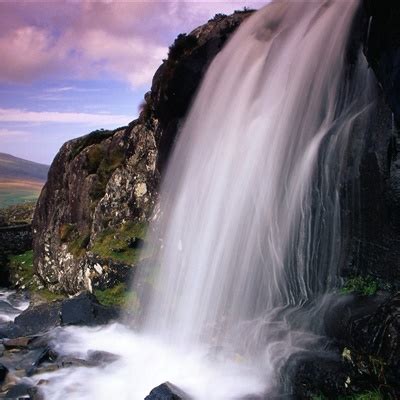 个性潮流美女纹身图,美女纹身腿吸睛