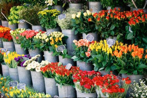 昆明城区最大的鲜花批发零售市场在哪?