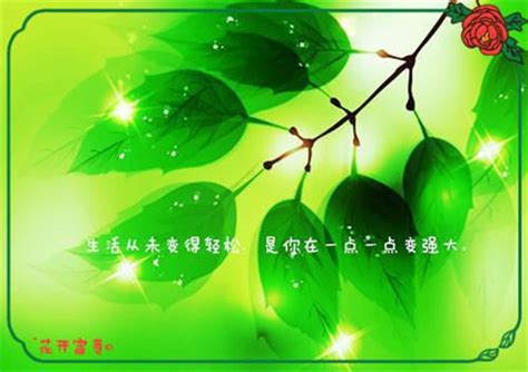 表达人间真情的箴言