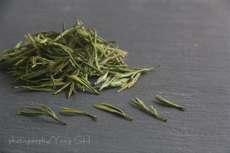 白茶和绿茶有什么区别,安吉白茶跟绿茶有什么区别呀